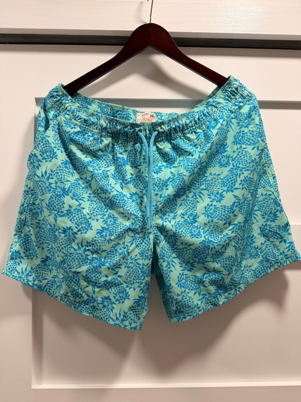 Men’s J. Crew Mint and Teal Pineapple Swim Shorts